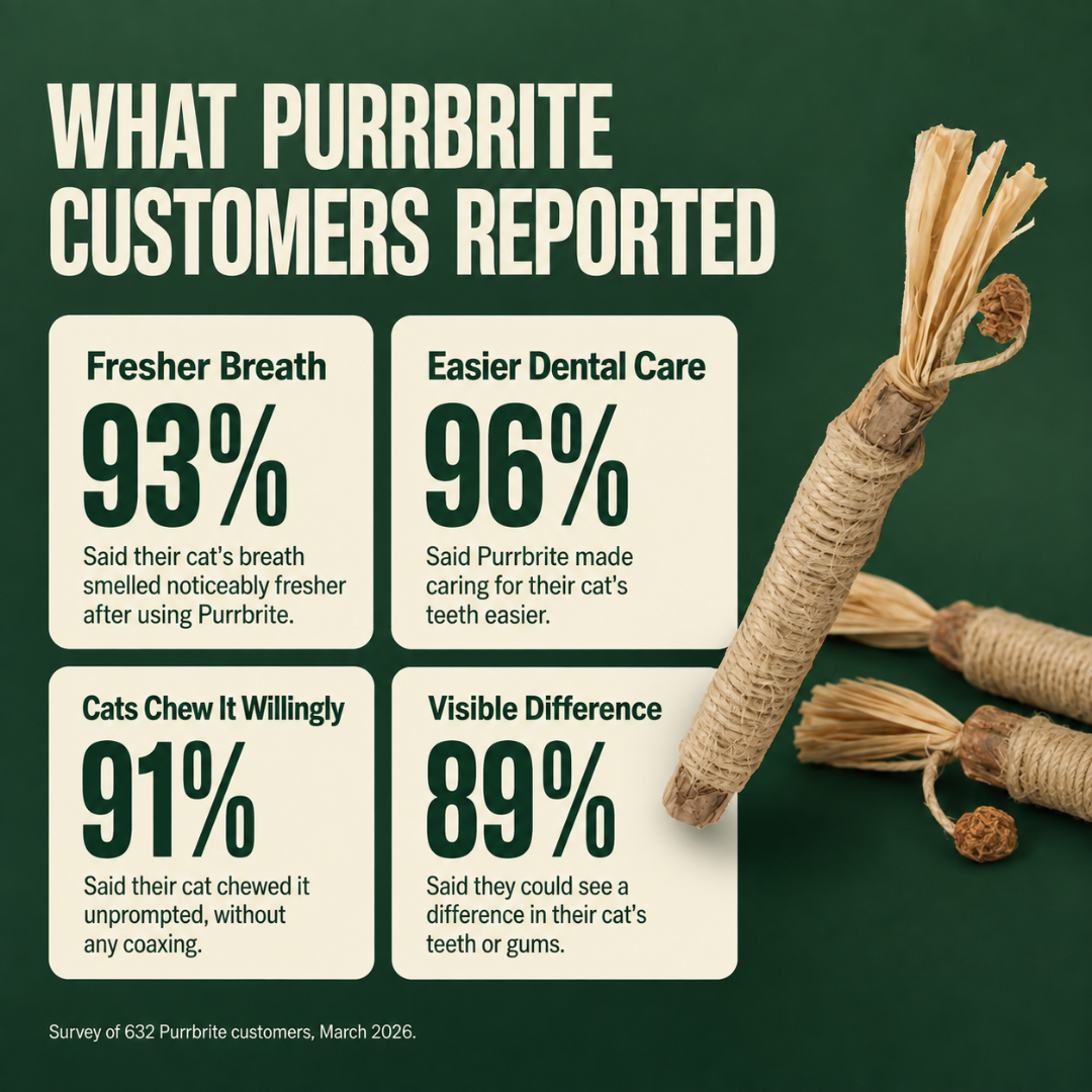 Purrbrite Silvervine Dental Sticks