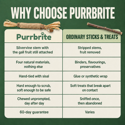 Purrbrite Silvervine Dental Sticks